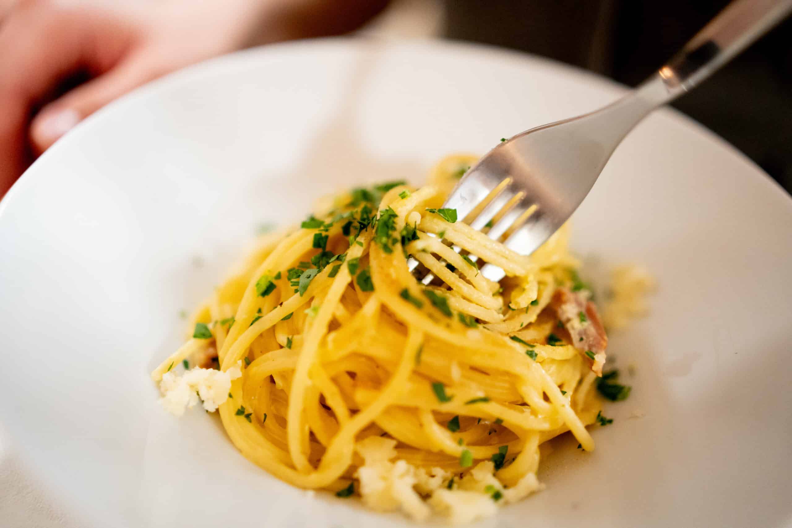 food truck - hrana - catering - restavracija mozart - vrhunska hrana - dogodek