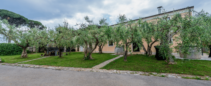 domov - restavracija mozart - catering - hrana - oprema - dogodek - srečanja - praznovanje - prenočišče - hotel